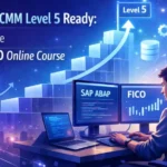 learner to cmm level