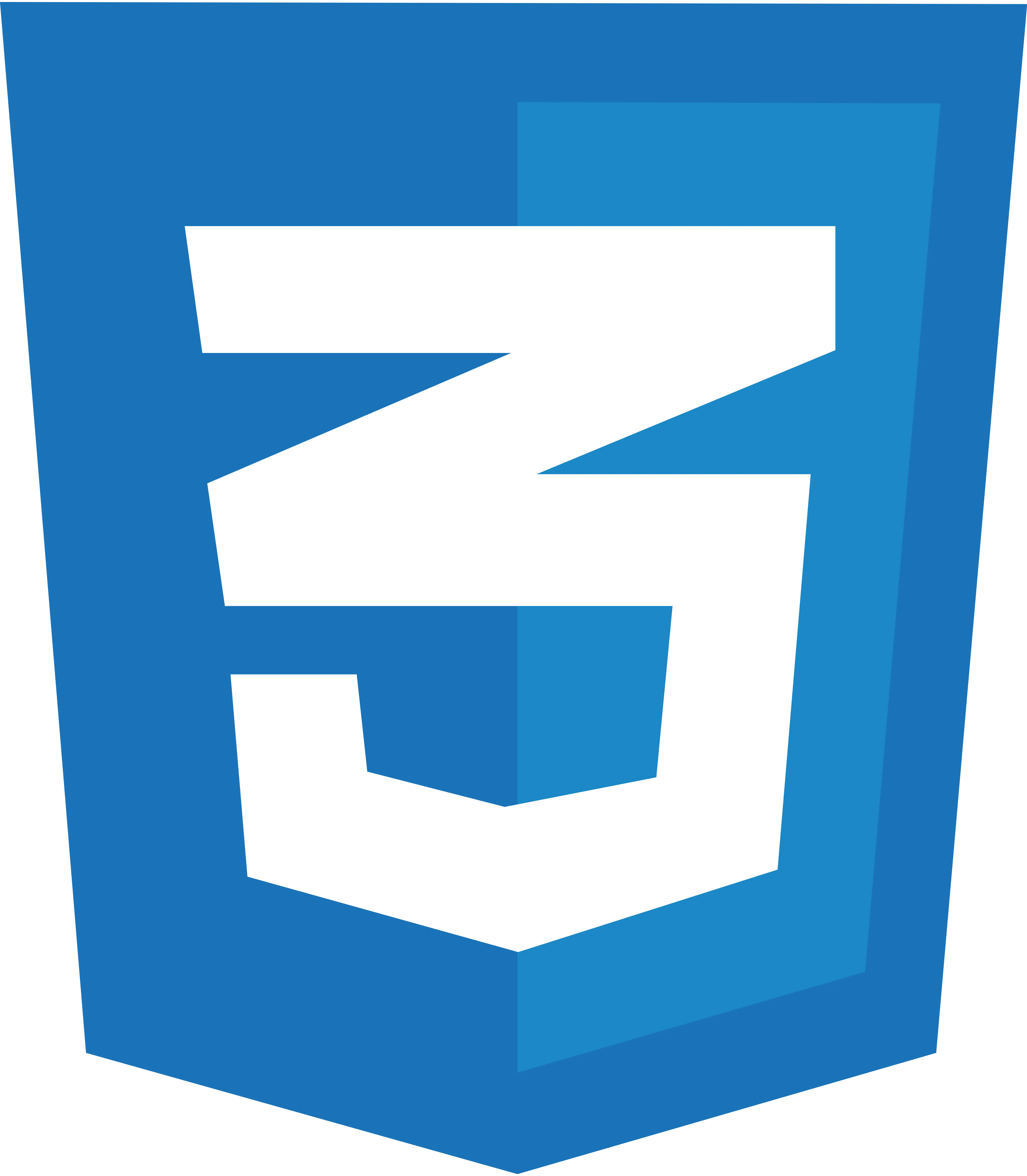 CSS CSS